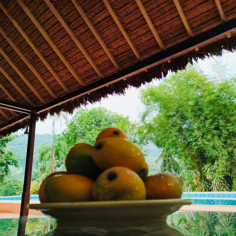 jatata inn hotel